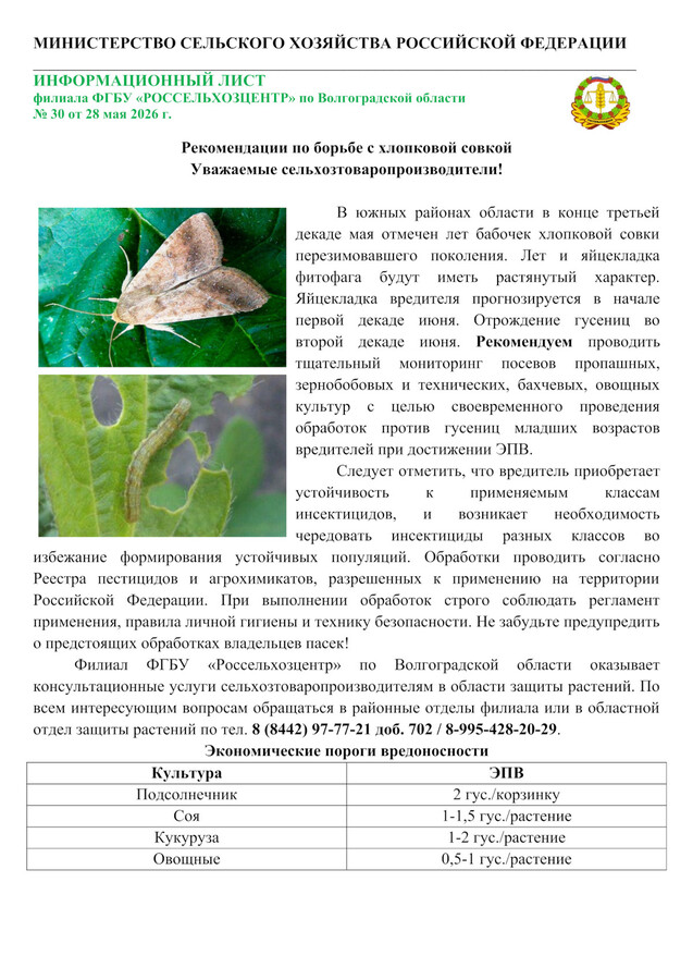 Рекомендации по борьбе с хлопковой совкой