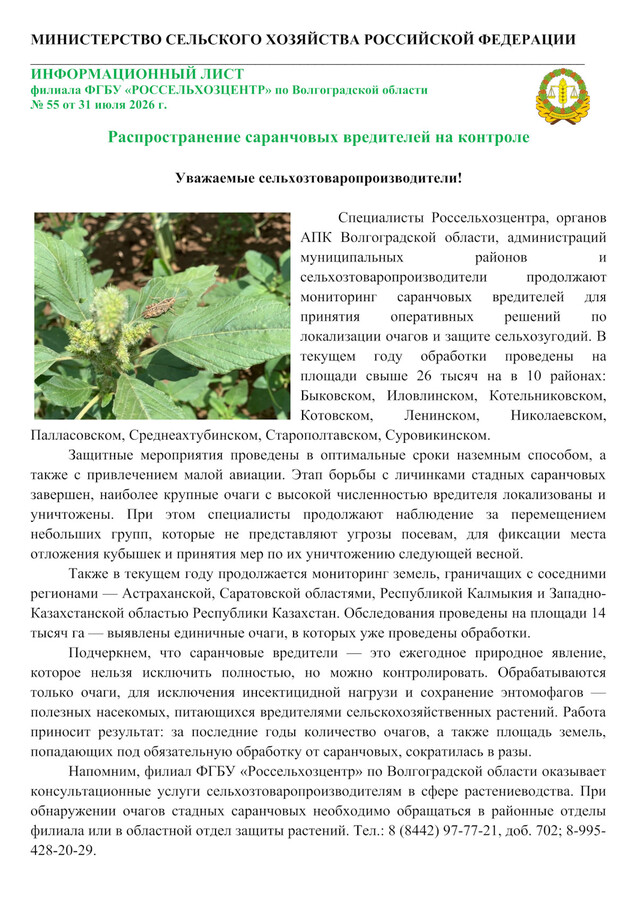 Распространение саранчовых вредителей на контроле